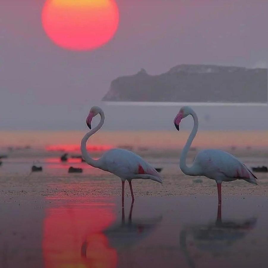 Suite Sardinia Holiday Κάλιαρι Εξωτερικό φωτογραφία